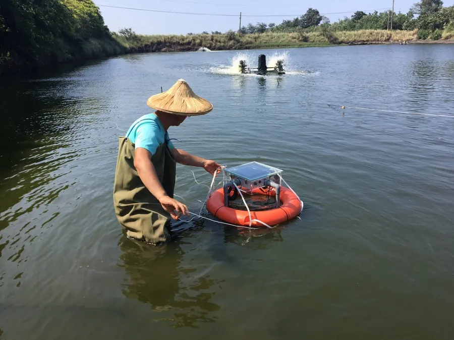 不負「草蝦王國」之名！寬緯科技打造「水聚寶」，推動台灣養殖漁業再進化