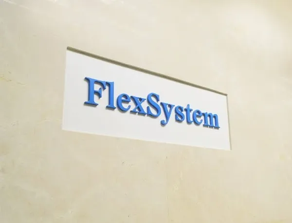 FlexSystem LOGO