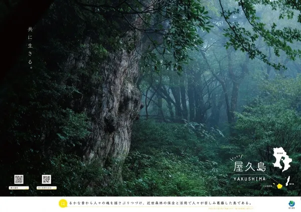 日本觀光海報大賞_鹿兒島屋久島05.jpg