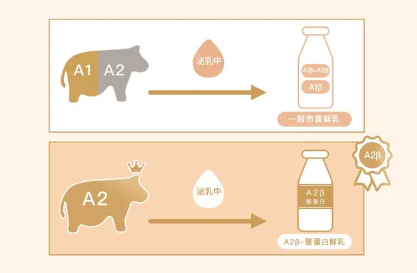 鮮乳坊 A2β 酪蛋白鮮乳.jpg