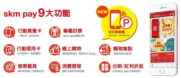 skm-pay-1