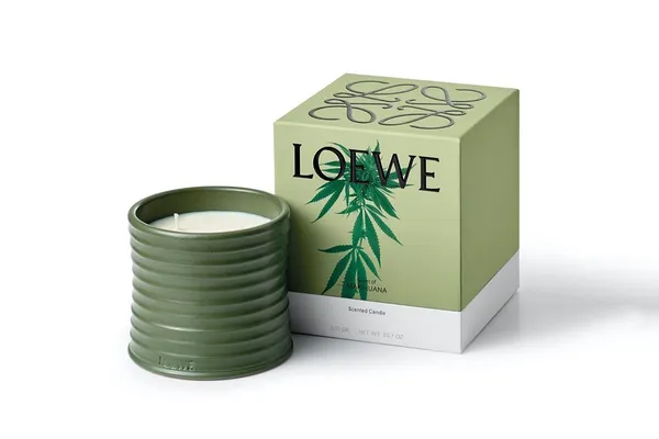 令人好奇的香味！大麻、番茄葉、忍冬為主調，LOEWE 將推出全新香氛蠟燭系列