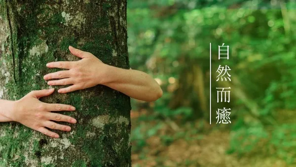 約翰森林-跟著植覺走配圖05.jpg