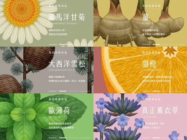 約翰森林-跟著植覺走配圖06.jpg