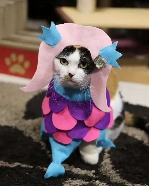 Amabie