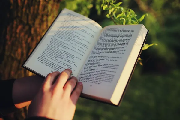 reading-the-book-5821.jpg