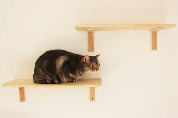 Felissimo 貓部 貓公寓 07.jpg