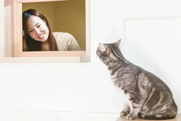 Felissimo 貓部 貓公寓 13.jpg