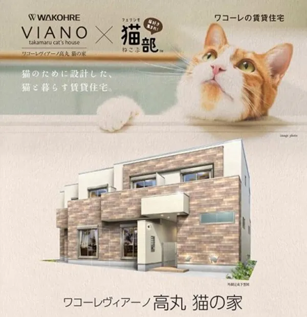 Felissimo 貓部 貓公寓 27.jpg