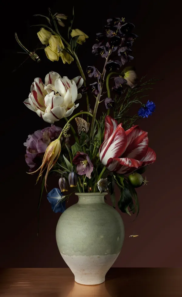 Bas Meeuws_S__4612121.jpg
