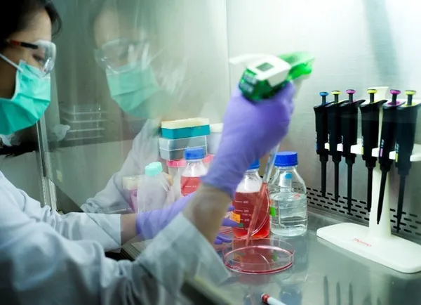 新冠病毒細胞也可篩！錫德斯生醫提供「臨床前測試」一條龍式檢驗服務 