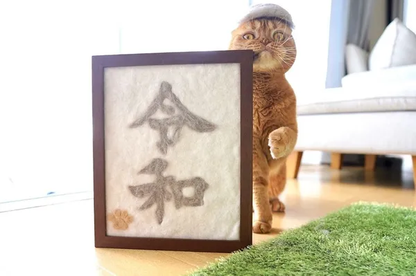 Rojiman 貓毛帽 07.jpg