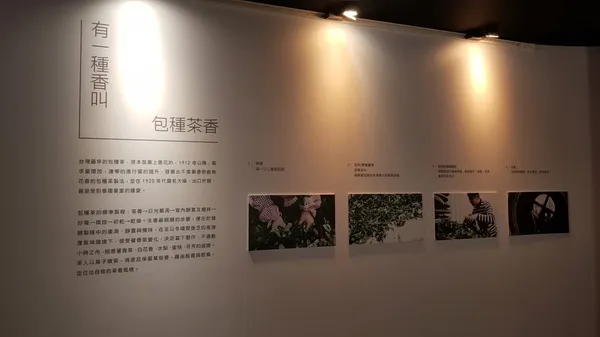 新芳春茶行-茶香流動展覽.jpg