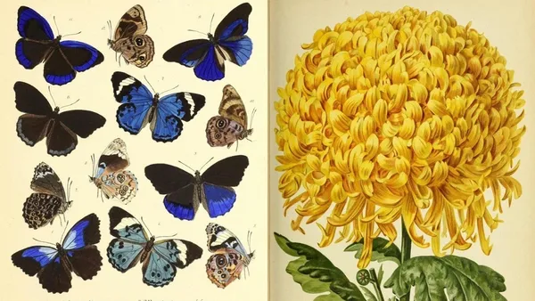 HistSci Art IG 04.jpg