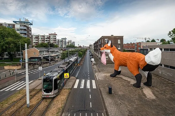 霍夫曼 狐狸 Bospolder Fox 01.jpg