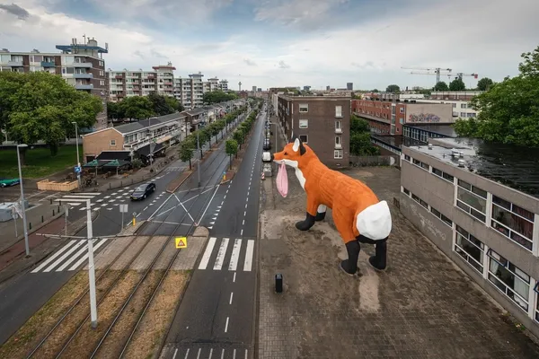 霍夫曼 狐狸 Bospolder Fox 09.jpg