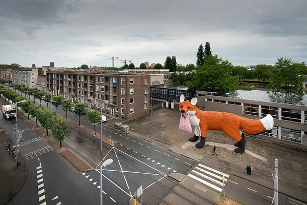 霍夫曼 狐狸 Bospolder Fox 10.jpg