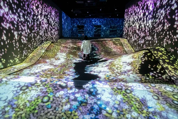 teamLab Forest-04.jpg