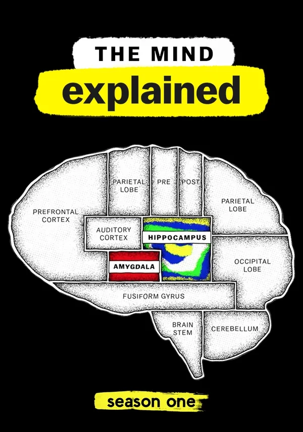 《腦內解碼》（The Mind, Explained）.jpg