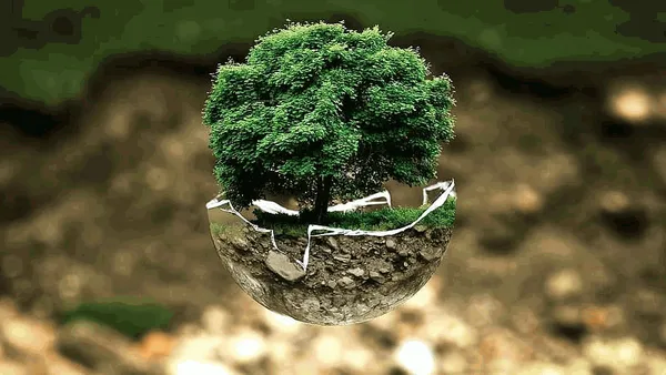 tree_planet