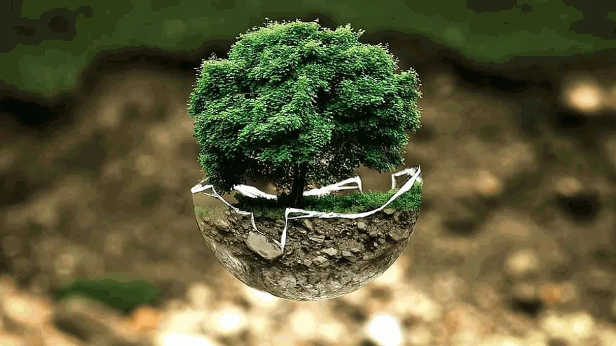  Pikist.com