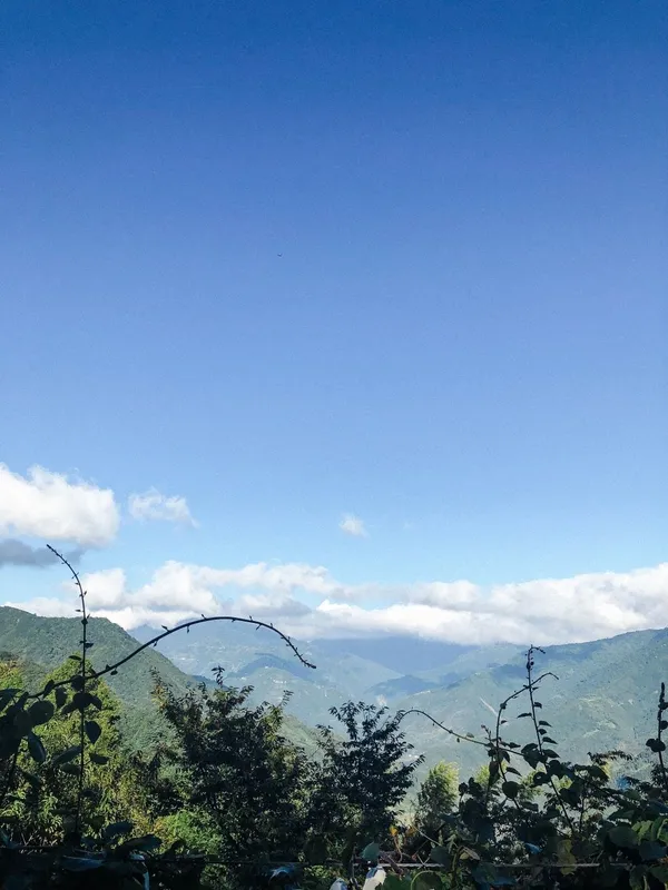潮食人_將豪健康農產-山林一隅.jpg
