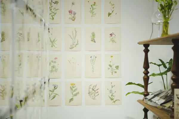 礦石上的植物圖鑑-630A7539.jpg