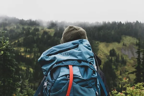 mountain-backpack-hiking-forest.jpg