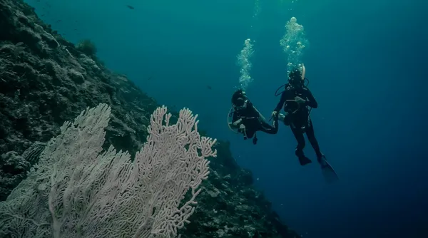 藍洋潛水 提供 06.jpg