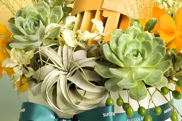 13件中秋花禮