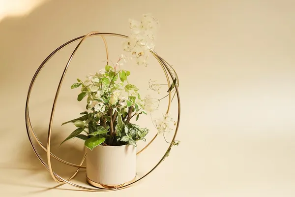 13件中秋花禮