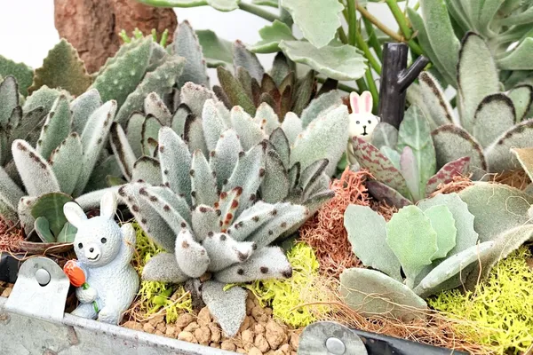13件中秋花禮