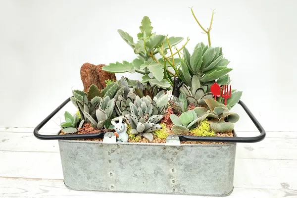 13件中秋花禮