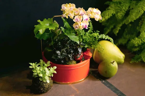 13件中秋花禮