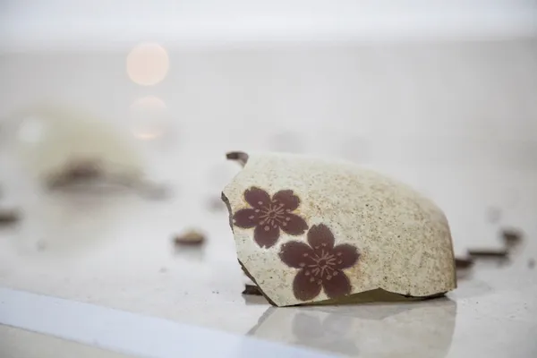 給火星人類學家 To Martian Anthropologists