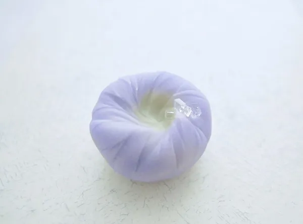 立秋和菓子07.jpg