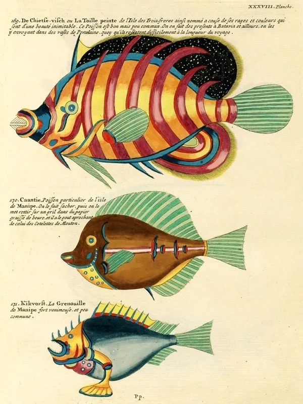 Louis Renard 魚插畫 04.jpg