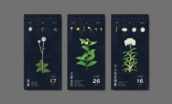 種籽設計花曆06.jpg