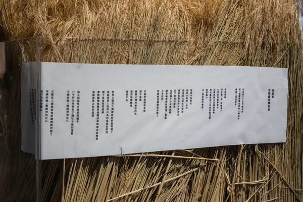 許含光文字作品〈他說他曾經聽得懂鳥語〉Photo Credit_ Junyou Liu.jpg