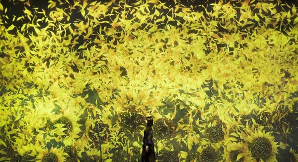 圖6 東京台場展出無限繁衍的生命Proliferating Immense Life(圖片提供tea