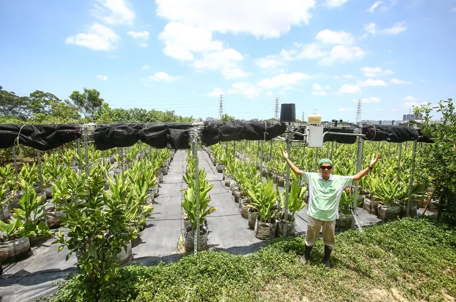 菜鳥農夫救星！他用5G抓害蟲、遠端用藥，一支手機管150坪農場