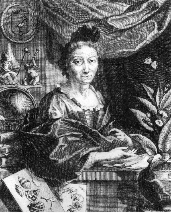 MARIA SIBYLLA MERIAN_wikimedia commons.jpg