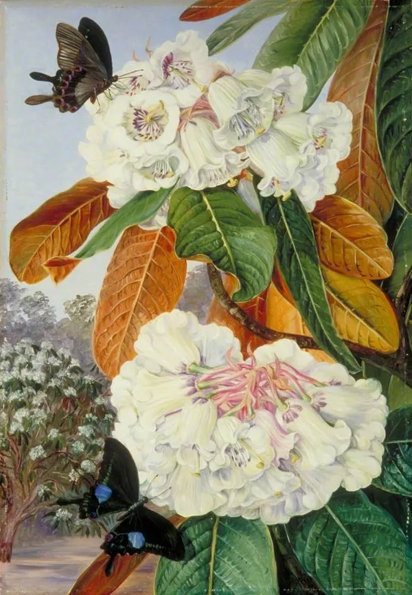 Marianne North_04 WikiArt.jpg