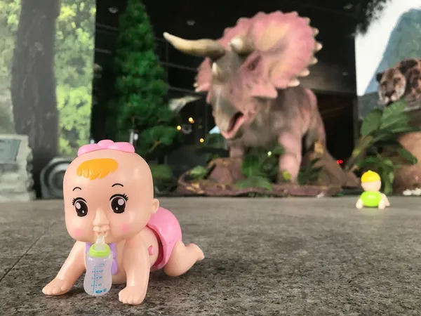 小星星 原型樂園 Prototype Paradise.jpg