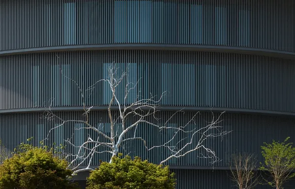 安藤忠雄 和美術館 02.jpg