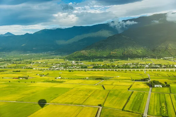 台東縣政府_走近山_09