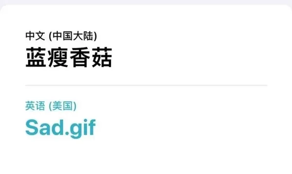 IOS14翻譯