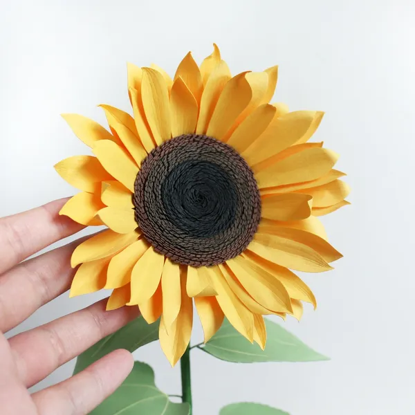 Papersynthesis Mabel Low 紙花藝術 02.jpg