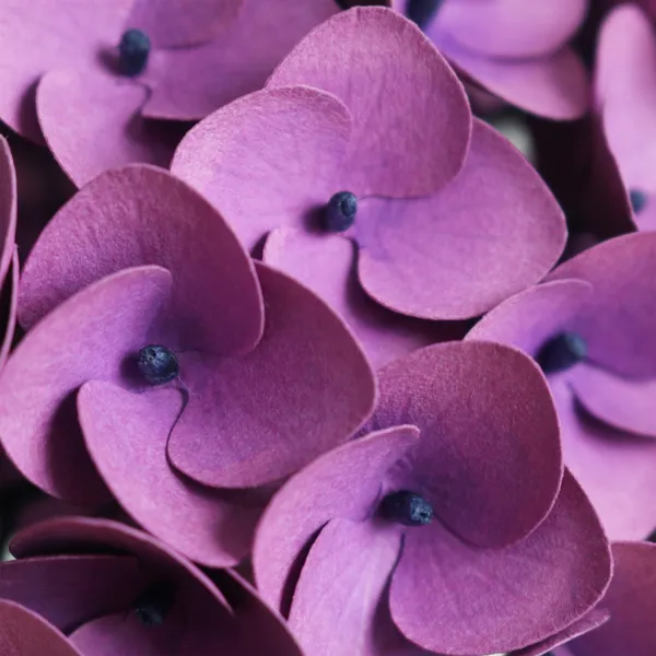Papersynthesis Mabel Low 紙花藝術 03.jpg