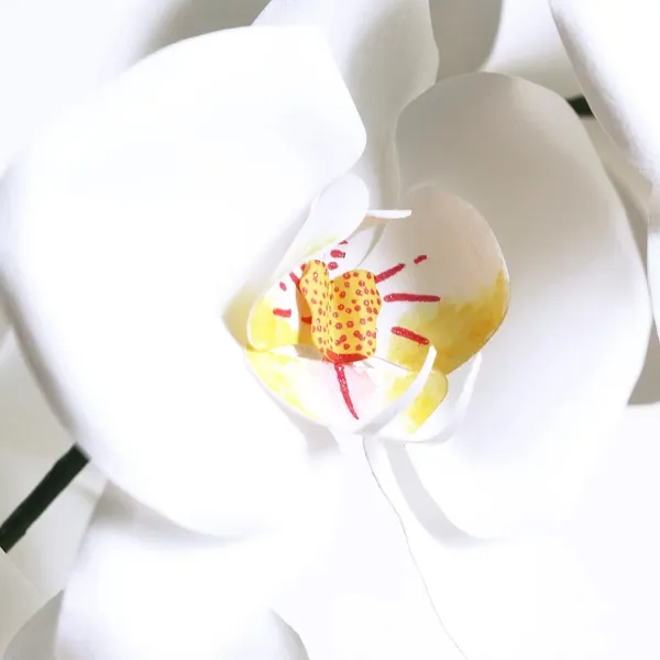 Papersynthesis Mabel Low 紙花藝術 07.jpg